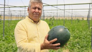 Avrupa'nın çekirdeksiz karpuzu Antalya'dan