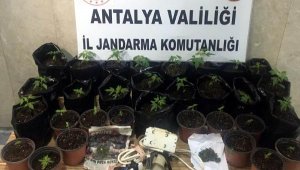 Banyoda uyuşturucu yetiştirme düzeneği 