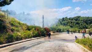 Çalılık yangını büyümeden söndürüldü