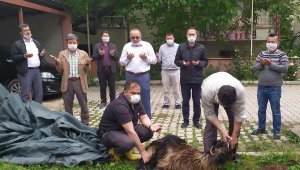 Camilerin ibadete açılmasından dolayı şükür kurbanı