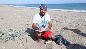 Caretta carettalardan ilk yumurta