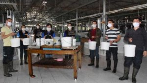 Demre'deki enstitüde 10 milyon yavru balık üretildi