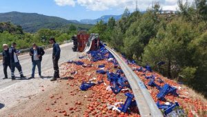Devrilen kamyonda yüklü 20 ton domates, yola saçıldı