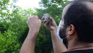 DKMP Bölge Müdürü Kamil: Bir yerde kuş cıvıltısı varsa orada hayat vardır