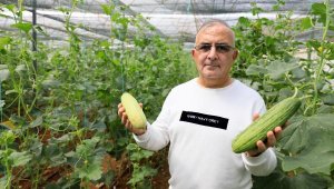 Dünyanın ilk hibrit acuru rafa çıkmak için gün sayıyor