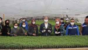 Elmalı kendi çiçeğini üretiyor