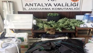 Eve özel düzenek kurup uyuşturucu yetiştirdi