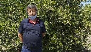 Finike Ziraat Odası Başkanı: Sıcak hava dalgası portakalı vurdu, rekolte düştü