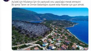 Haluk Levent'ten Kaş yangını paylaşımı: İlk işimiz fidanlar için gün almak