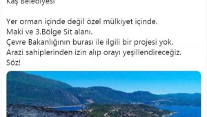 Haluk Levent'ten Kaş yangını paylaşımı: İlk işimiz fidanlar için gün almak