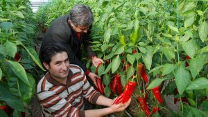 İki kırmızı biber kazandırıyor