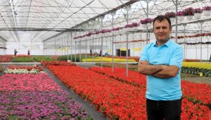 İtalya ve İspanya'nın üretemediği çiçek, Antalya'dan gidecek