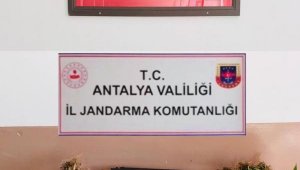 Jandarmadan uyuşturucu operasyonu