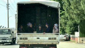 Kamyonet kasasında yolculuk