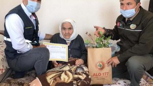 Kaş'ın ulu çınarına ormancılardan ziyaret