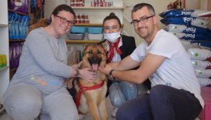 Kesici aletle işkence yapılan köpeği sahiplendi; 'Ailesi biz olacağız'