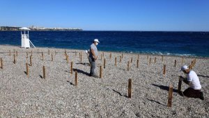 Konyaaltı sahiline 'sosyal mesafeli' deniz keyfi ayarı lar