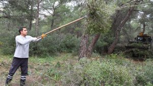 Konyaaltı'nda halkın tercihi 'Hayat Park' oldu