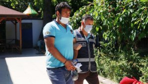 Postacının motosikletini çalan şüpheli: Kargoları satmak için çaldım