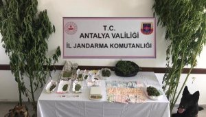 Serada uyuşturucu baskını