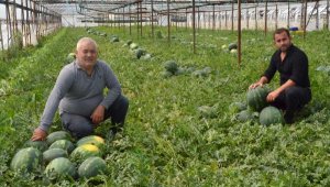 Serikli kavun ve karpuz üreticisi fiyatlardan memnun