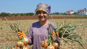 Soğan üreticisi, umudunu turizm sezonuna bağladı