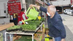 Sokağa çıkamayan vatandaşın yoğun fide ilgisi