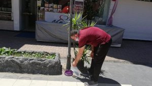 Sokak hayvanları unutulmadı