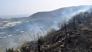 Tarım arazisinde yangın