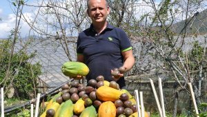 Tropik meyvede 1 milyar dolarlık ihracat hedefi