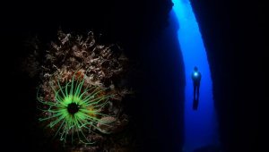 Uluslararası Kemer Sualtı Günleri tamamlandı