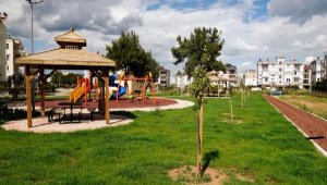 Varsak'a çam ağaçlı park