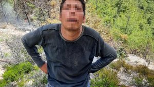 Yemek pişirmek isterken ormanı yaktı