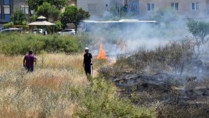 4 yavru köpeği yangından kurtardı