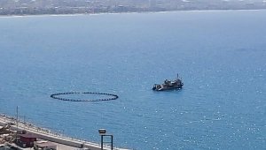 Alanya limanında orkinos kirliliği iddiası