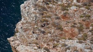 Alanya'da kayalıklarda erkek cesedi bulundu