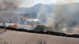 Antik kent yakınında yangın