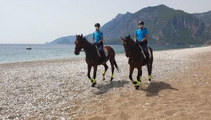 Atlı jandarma, kaplumbağaların, sahillerin ve tarihin koruyucusu
