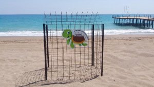 Belek'te caretta caretta yuvası, 900'e ulaştı