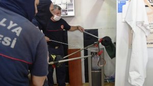 Berber dükkanına giren yılan paniğe yol açtı