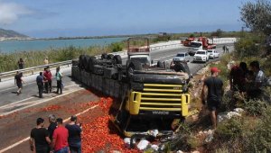 Biber yüklü TIR devrildi