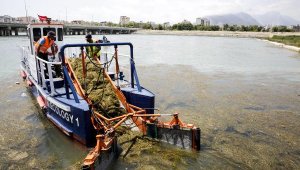 Büyükşehir Belediyesi Boğaçayı'nı temizliyor