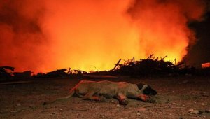 Büyüyen alevleri kimi oturarak, kimi ayakta izledi