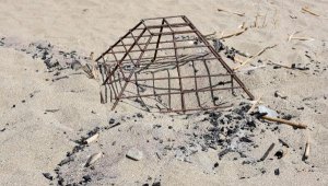 Caretta caretta yuvasının üzerinde ateş yakıldı