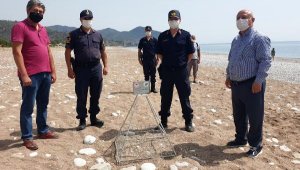 Çıralı'da deniz kaplumbağası yuva sayısı, yüzde 100 arttı