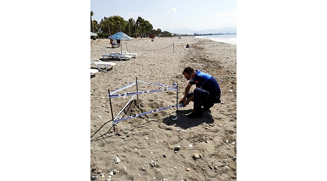 Deniz kaplumbağası yuvası korumaya alındı