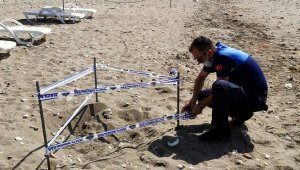 Deniz kaplumbağası yuvası korumaya alındı