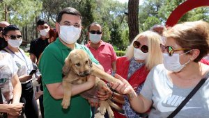 Hayvansevere mama ve ilaç müjdesi