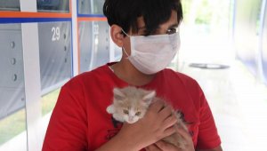 Kanalizasyondan sıcak yuvaya