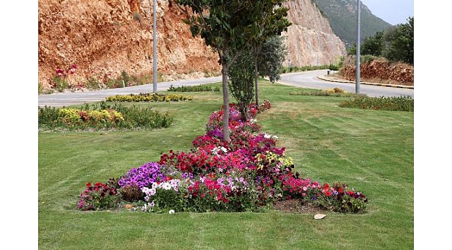 Kaş çiçekle donatıldı